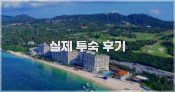 💬 실제 투숙 후기