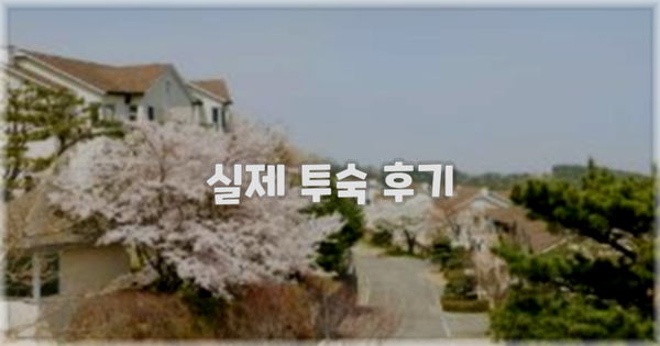 💬 실제 투숙 후기
