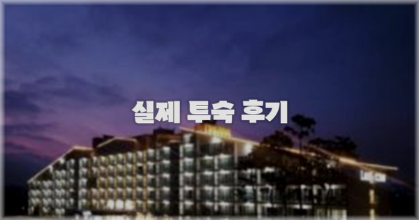 💬 실제 투숙 후기
