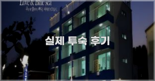 💬 실제 투숙 후기