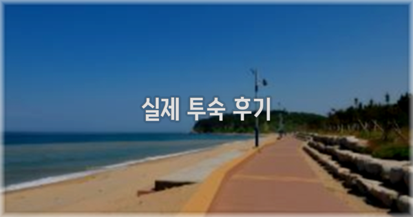 💬 실제 투숙 후기