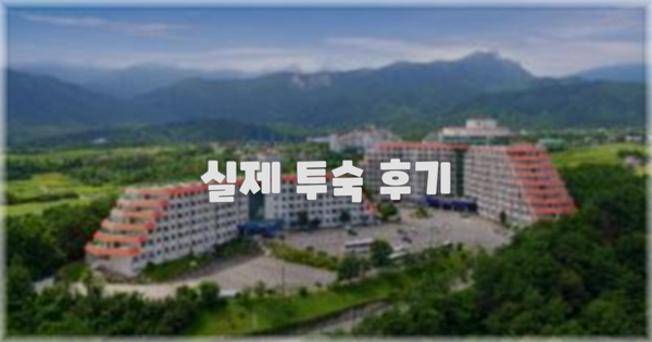 💬 실제 투숙 후기