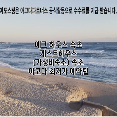 에그 하우스 속초 게스트하우스 (가성비숙소) 속초 아고다 최저가 예약팁
