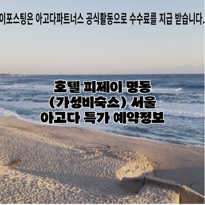 호텔 피제이 명동 (가성비숙소) 서울 아고다 특가 예약정보